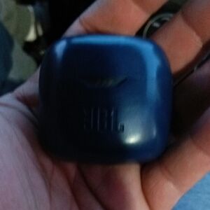 JBL Navy Earbuds Case